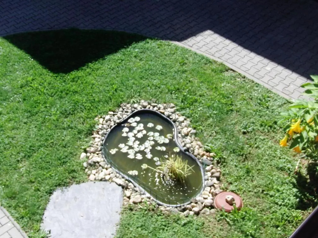 Penzion Ubytování Květinová
