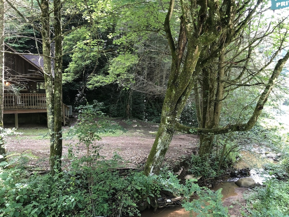 A Cabin In The Woods