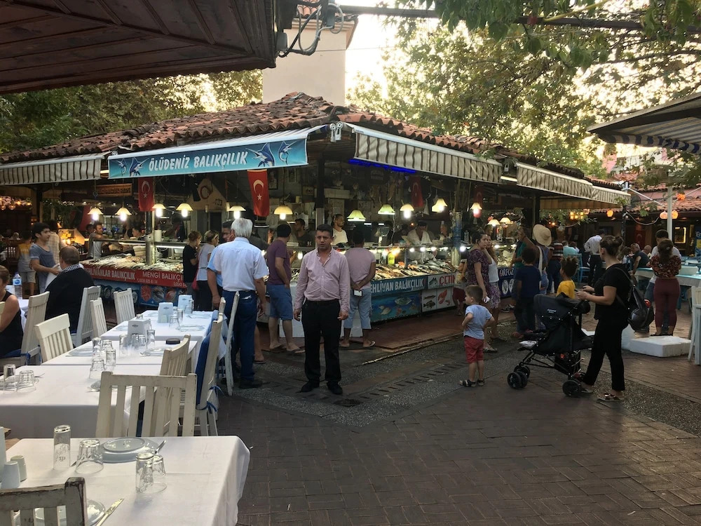Orka Garden C3