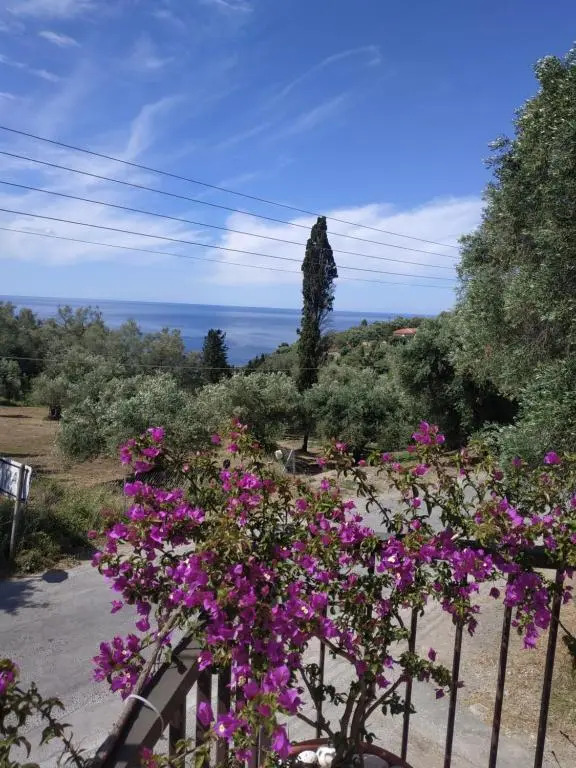 Malibu