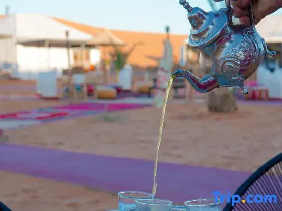Young Luxury Camp Merzouga