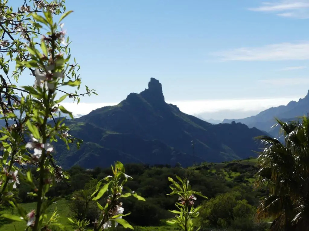 Mountain Hostel&House Finca La Isa by Rose