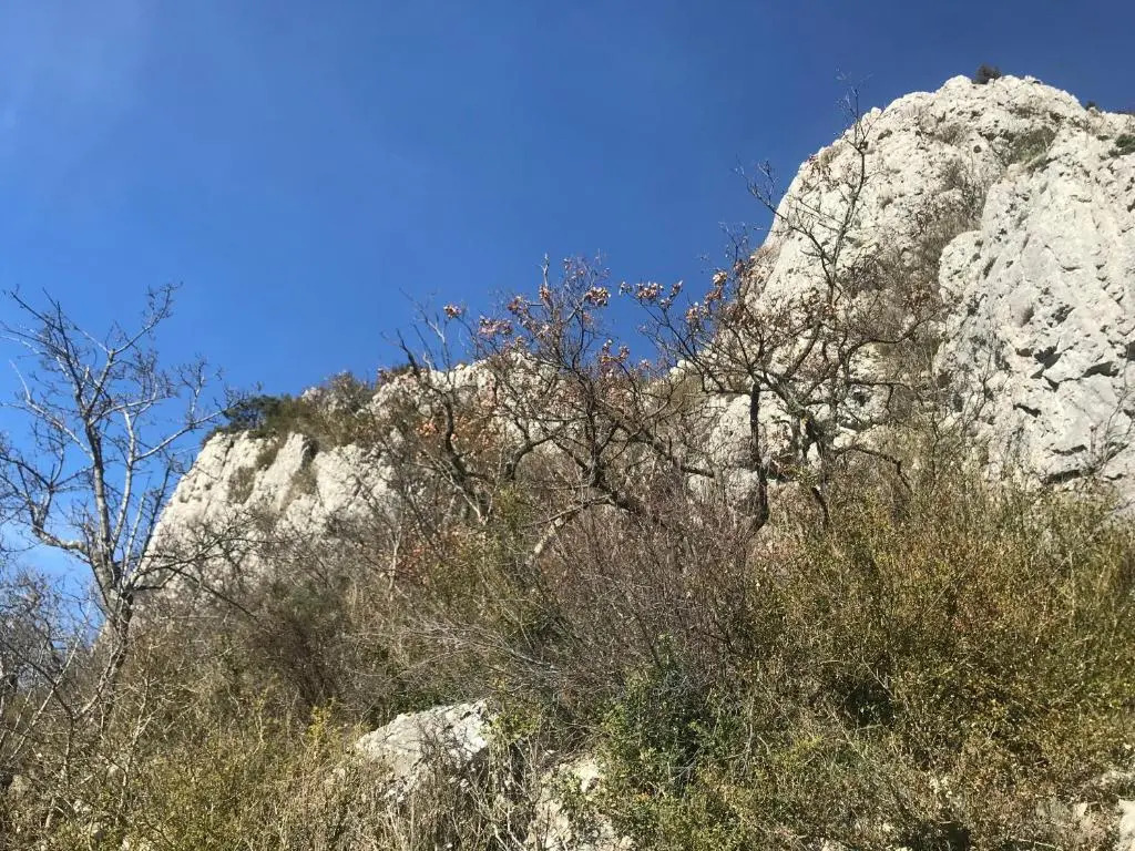 Chambre en Ardèche du Sud