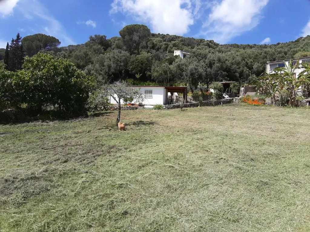 Garden House Q4527