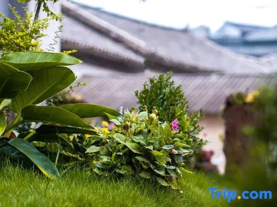 Xiangwei to foam sea view beauty accommodation (Dali Erhai small Putuo store)
