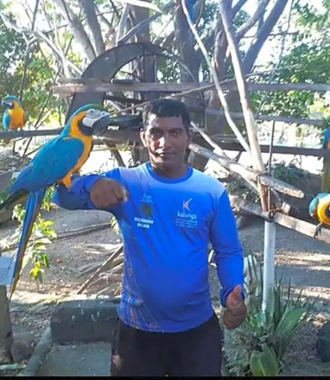 Pousada Refúgio da Chapada