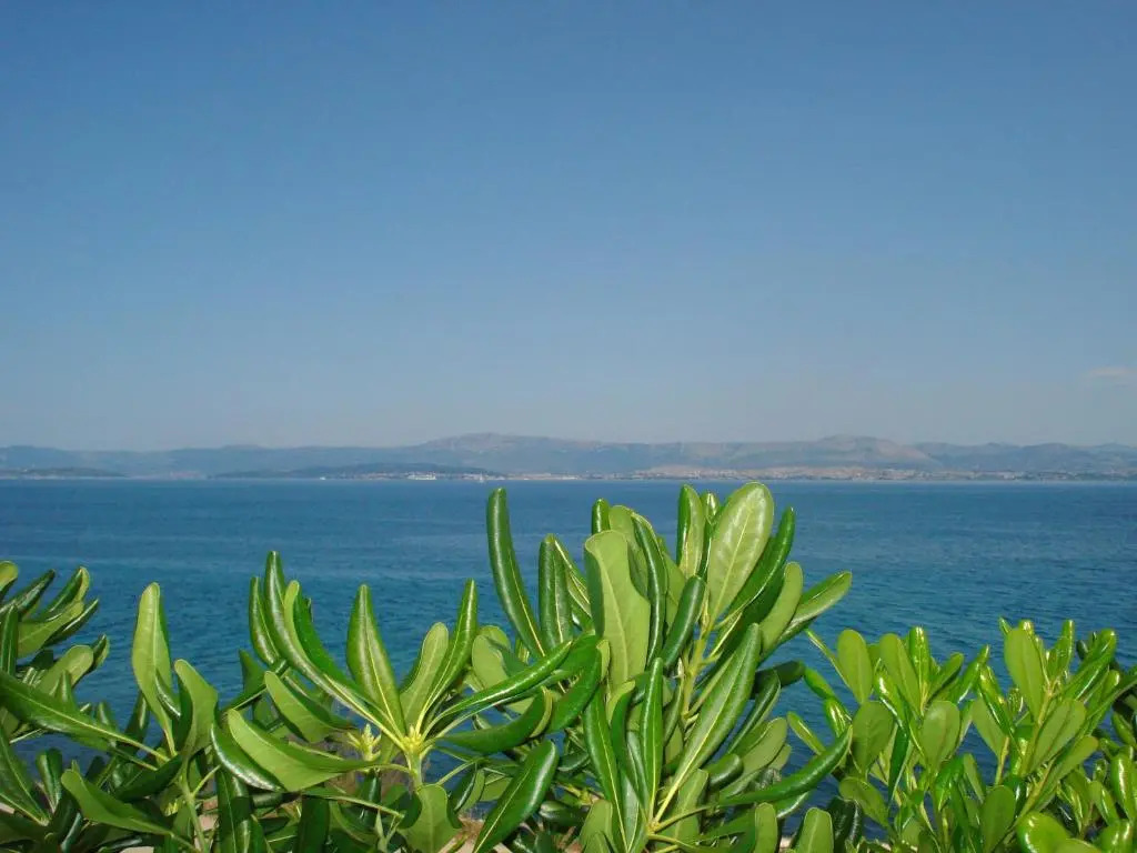 Apartments Sea Star
