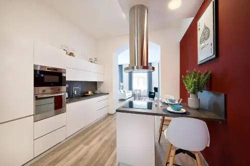 Luxurious Apartments Karlin