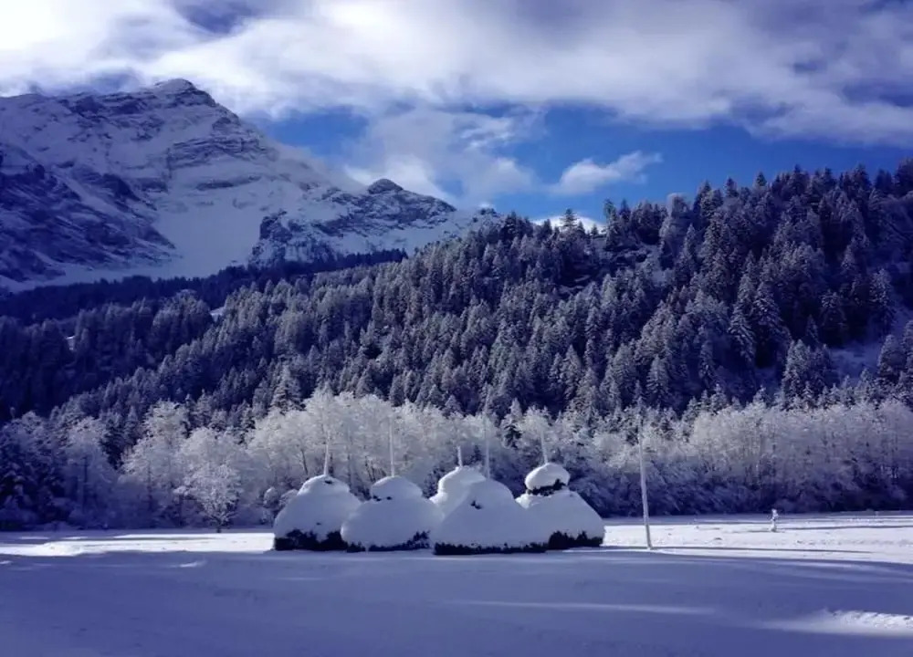 Contemporary Swiss Escape
