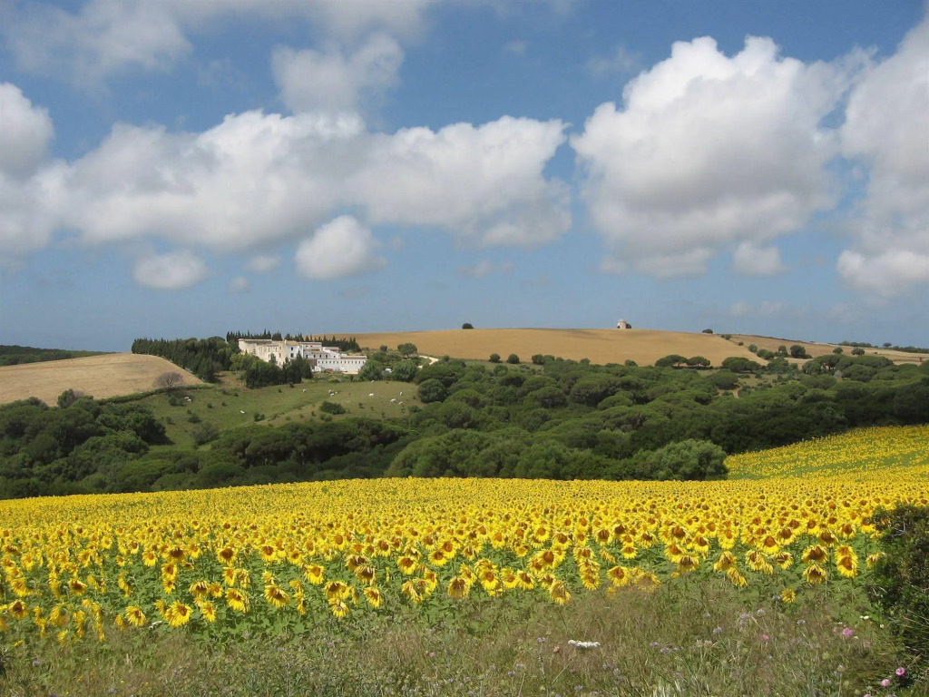 El Palomar de la Breña