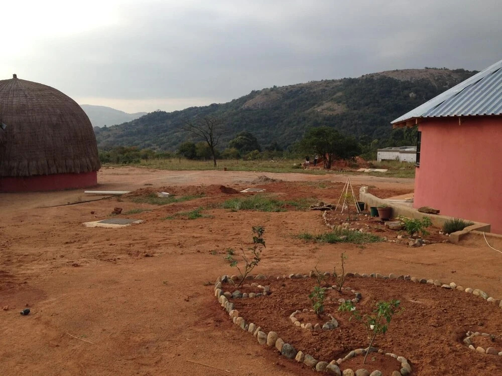Swazi Dreams
