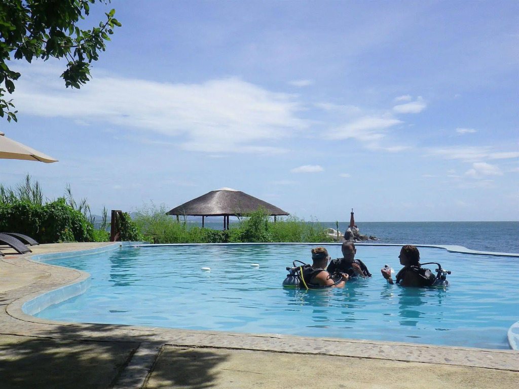 Blue Zebra Island Lodge