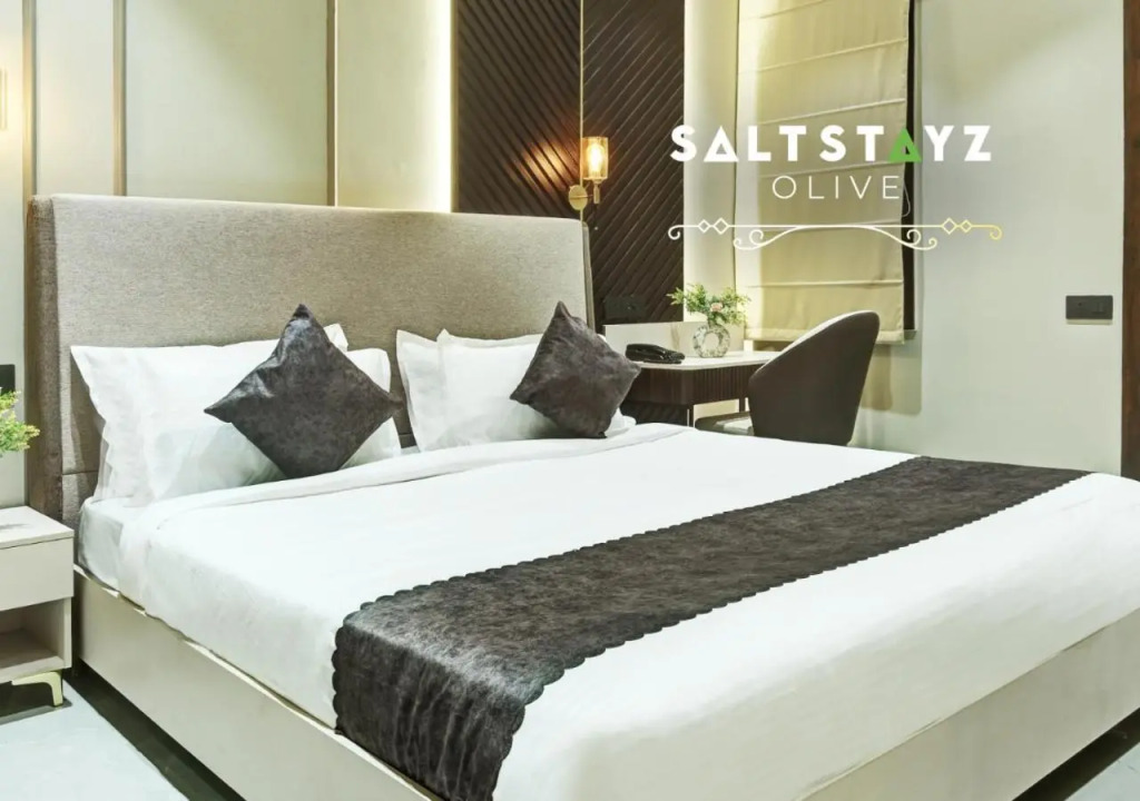 Saltstayz Select - Pitampura