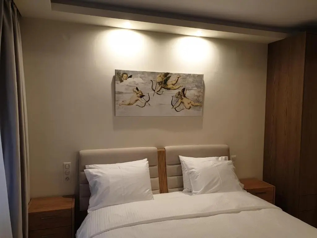 Olive Deluxe Apartment
