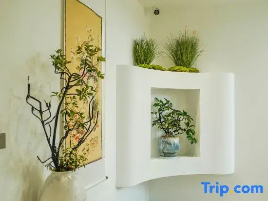 Yixing Xianyinju Private Hot Spring Homestay