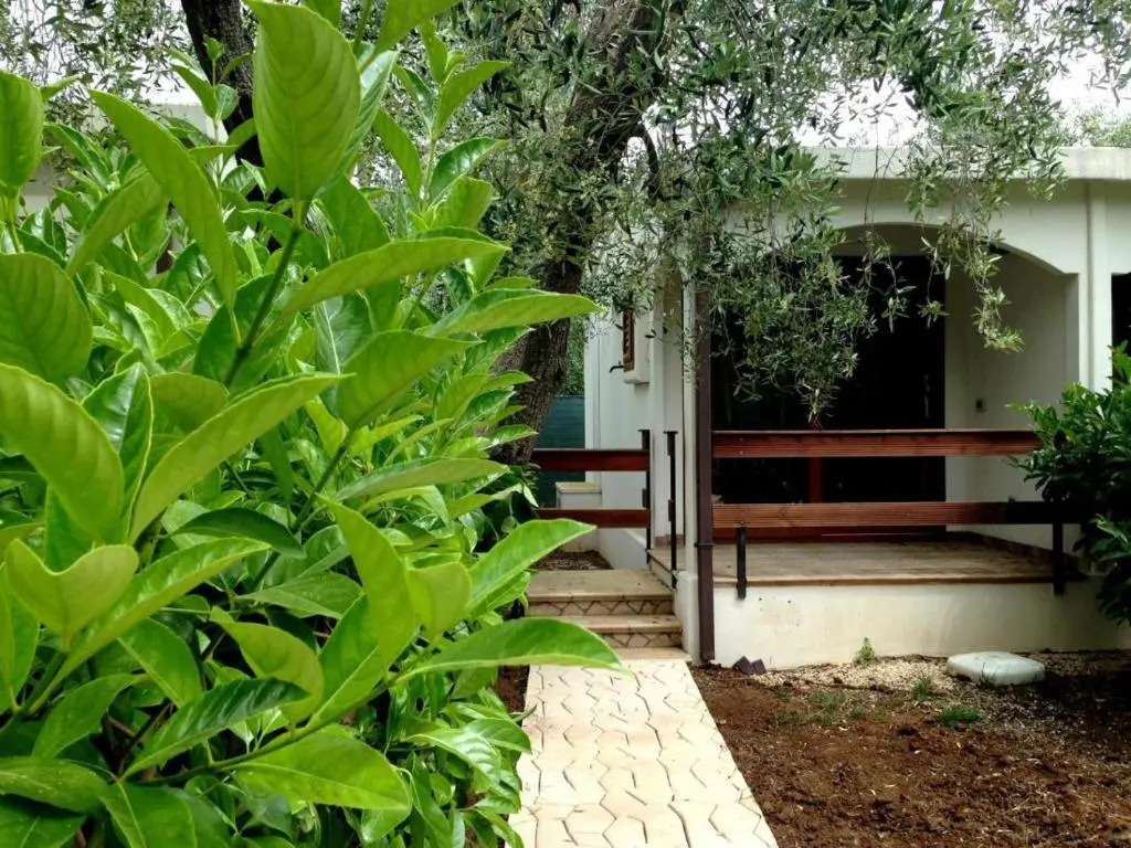 Holiday Apartment orchidea with swimming pool and private beach