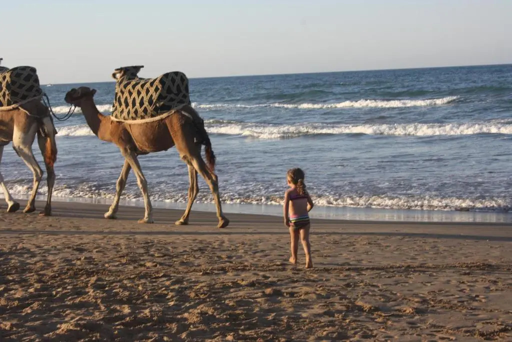 Oriental Dary Al Waha Marina Saidia