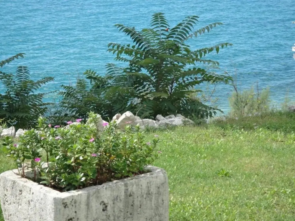Sea View - Cosy & Comfortable - A2 Zaborke