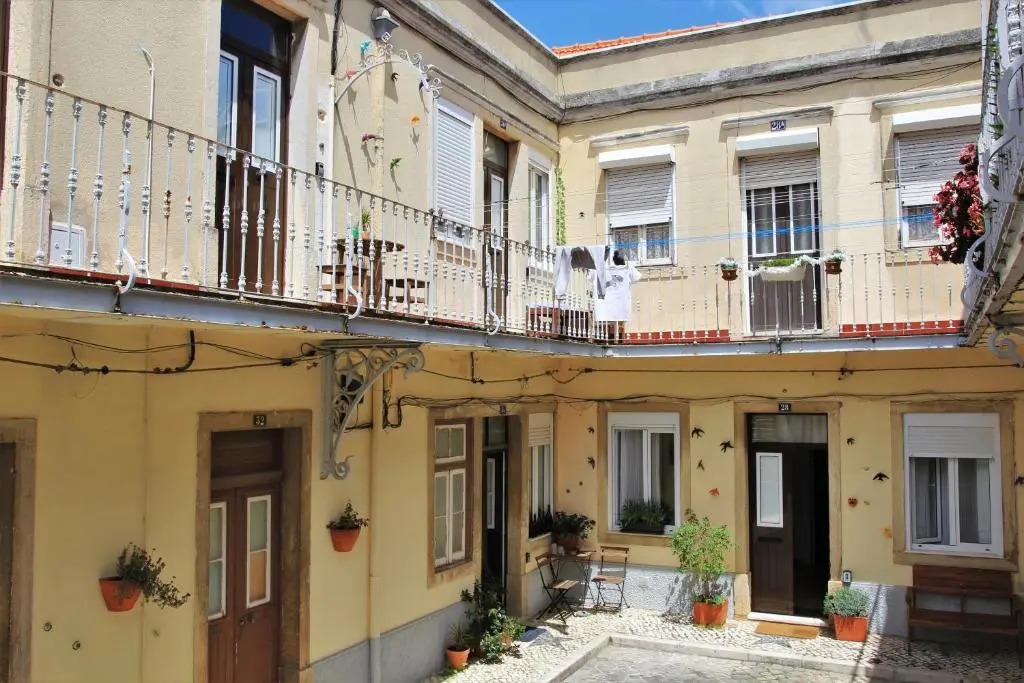 A Back Street Nest