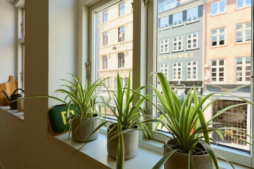 Dinesen Collection Two-Story Condos by Nyhavn Harbour