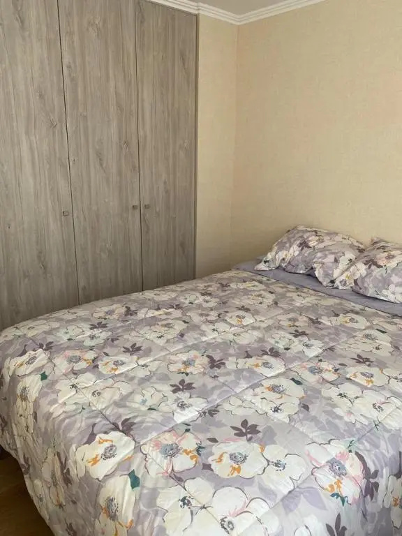 Departamento completamente equipado en Villarrica en condominio parque al volcán Antuco 505