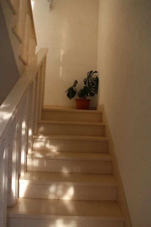 Apartments Tily