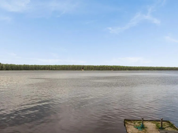 Suvituuli
