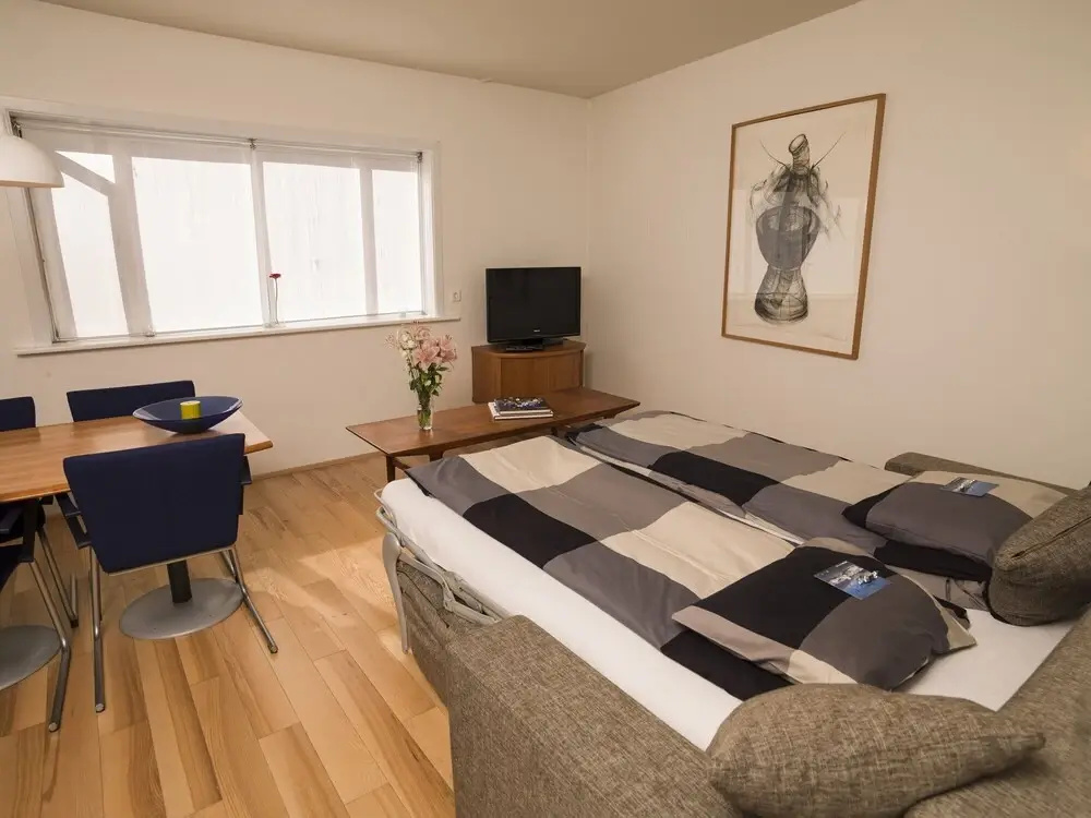 Cozy central apartment in the heart of Reykjaviks city center