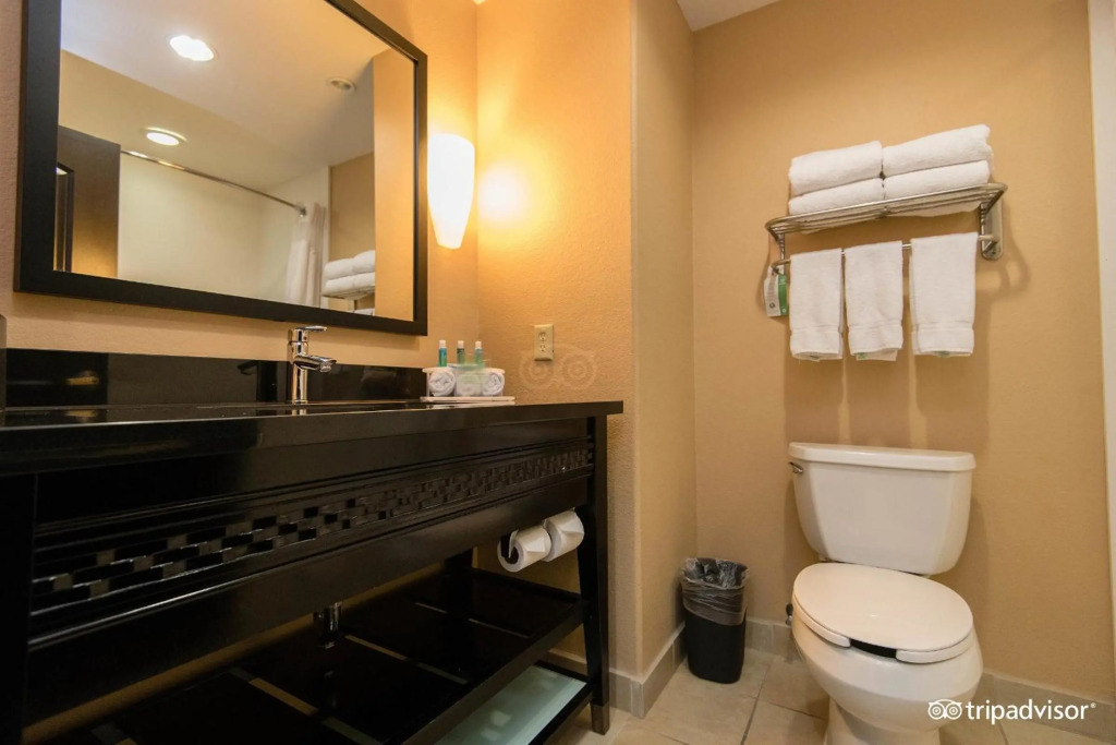 Comfort Inn & Suites Dallas Medical-Market Center
