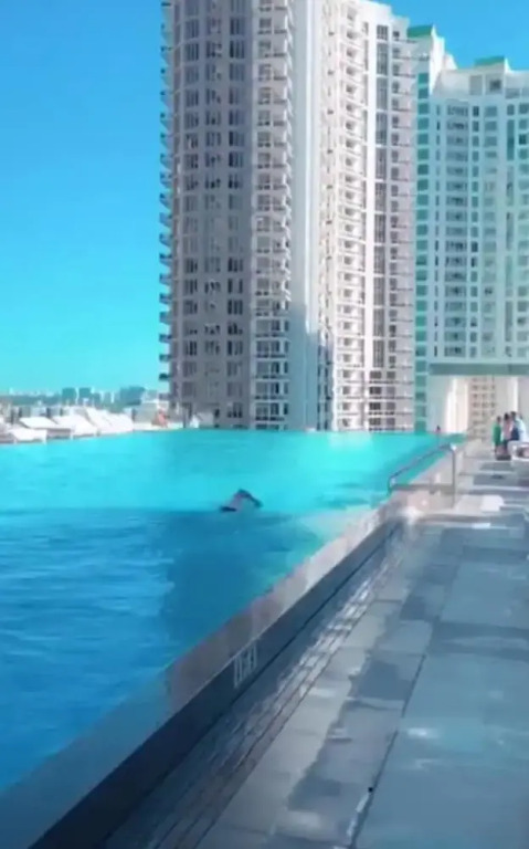 Amazing Unit Miami Brickell With Sea & City View