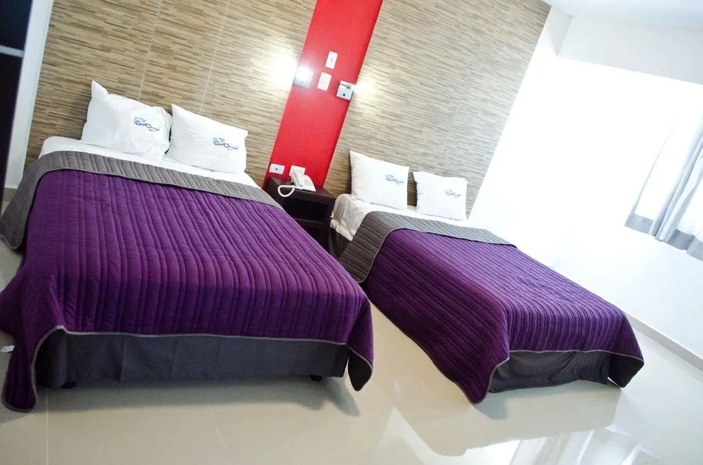 Hotel Suite San Angel