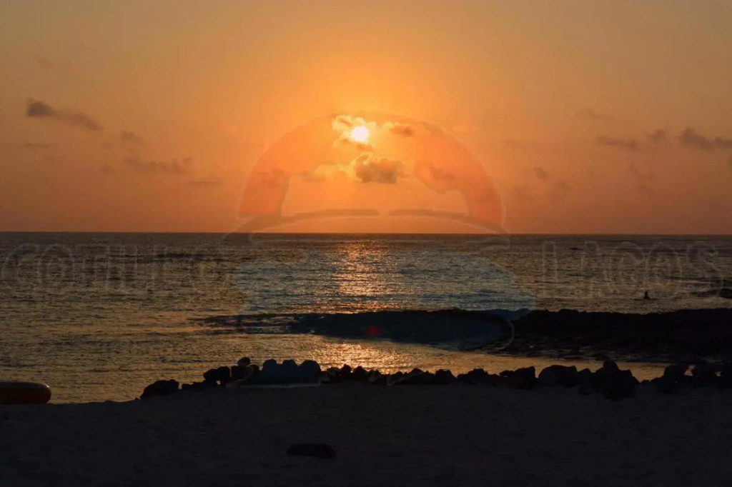 Cotillo Lagos