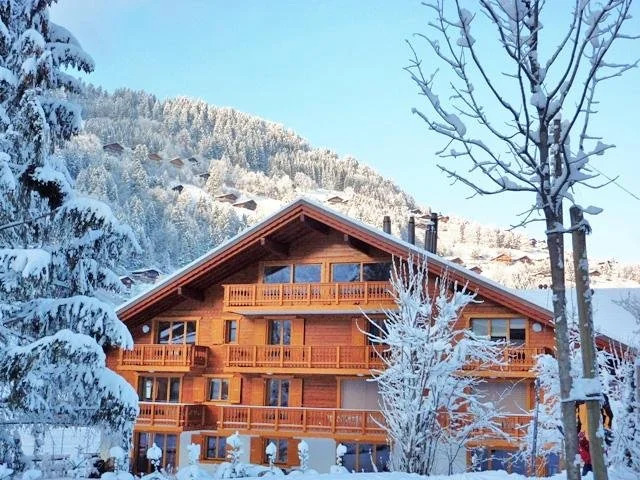 Chalet des Amis