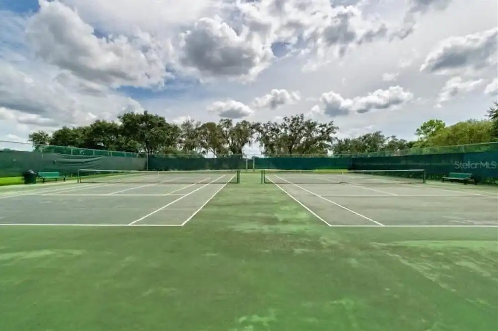 Royal_palm_bay_99