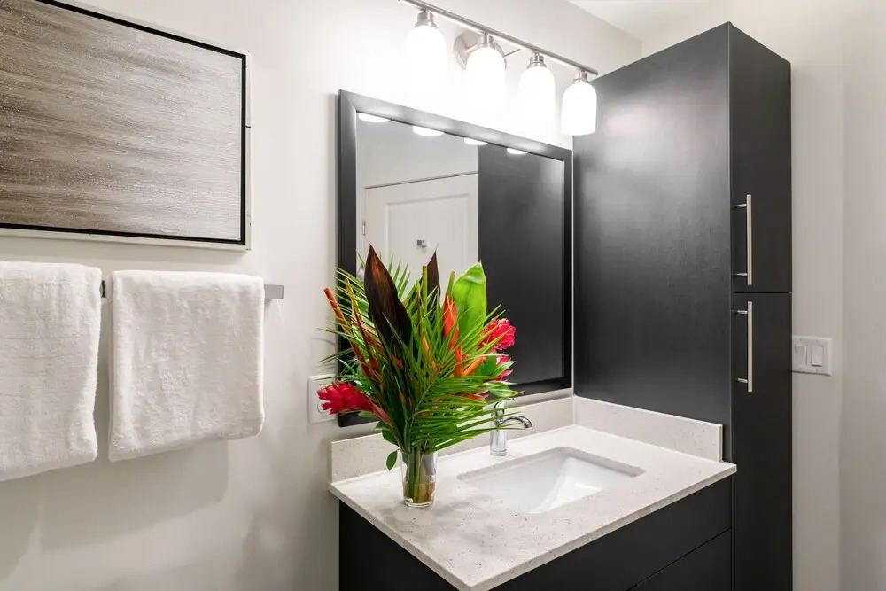 South Eola Condos by Barsala