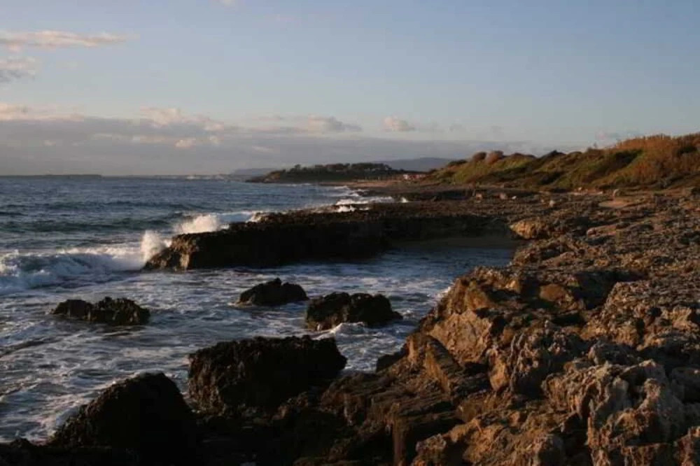 Grey Rocks