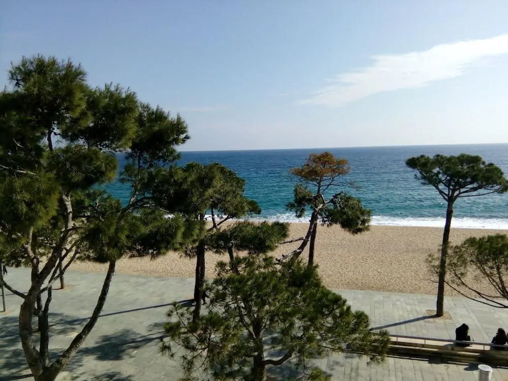 Apartamentos Delfin-Aromar-4