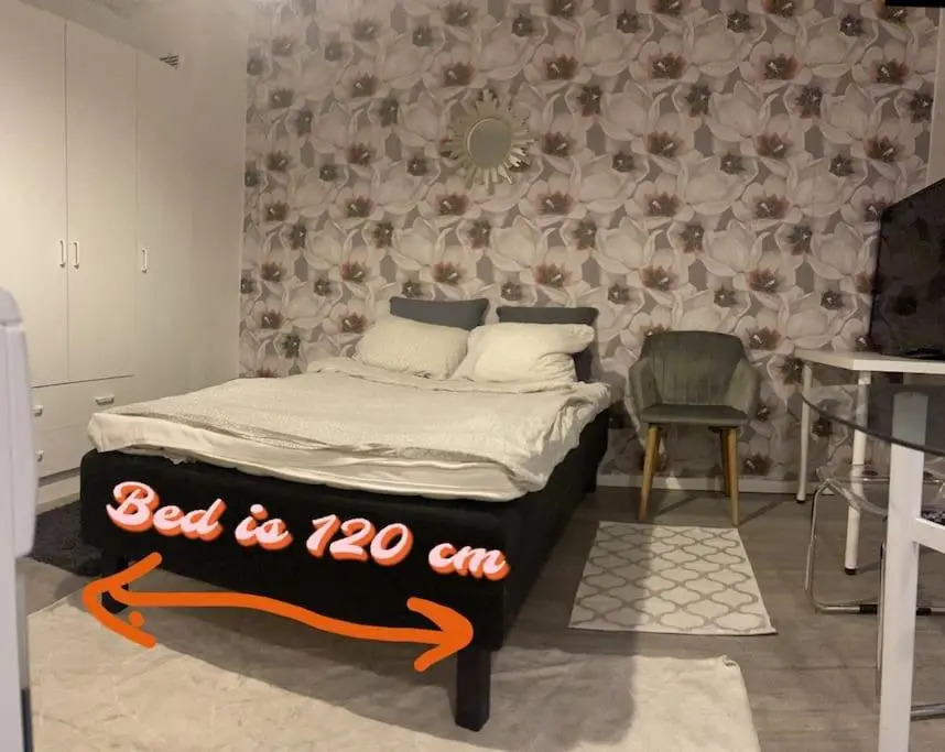 Yksiö 1,5 km Kupittaalta / 3 km Turun keskustasta