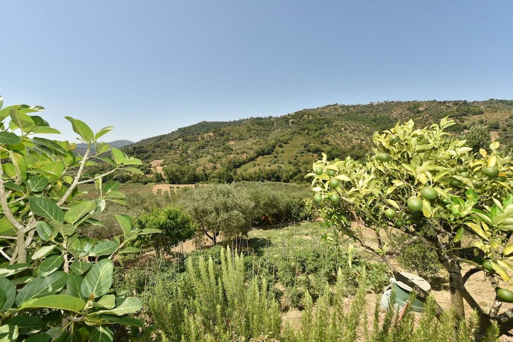 Agriturismo La Mimosa