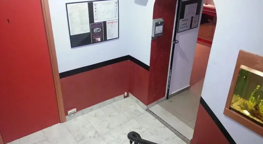 Hostel Harolds Backpackers