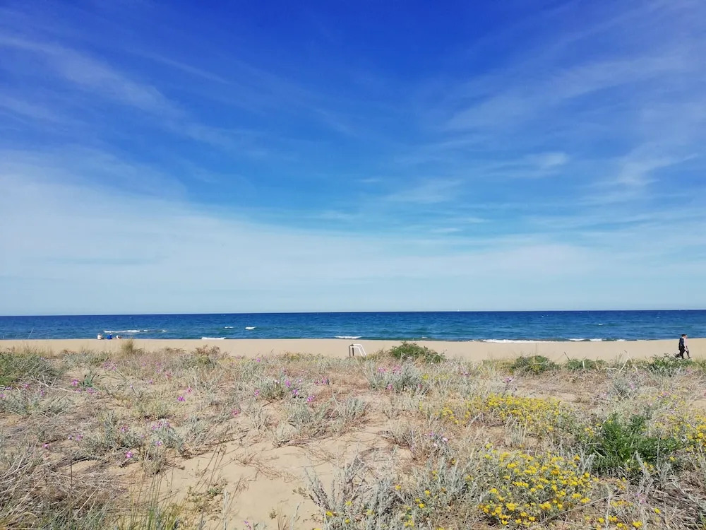 Solmar I Bajo 2