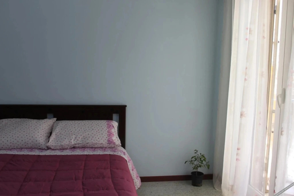 B&B Giove&Nettuno