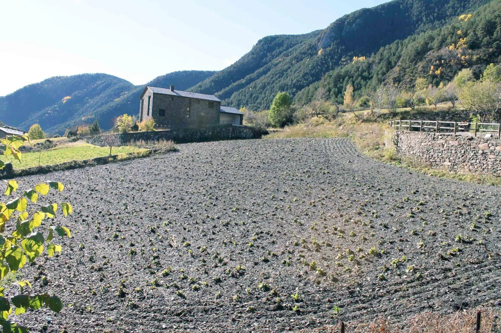 Apartamentos Ordino 3000