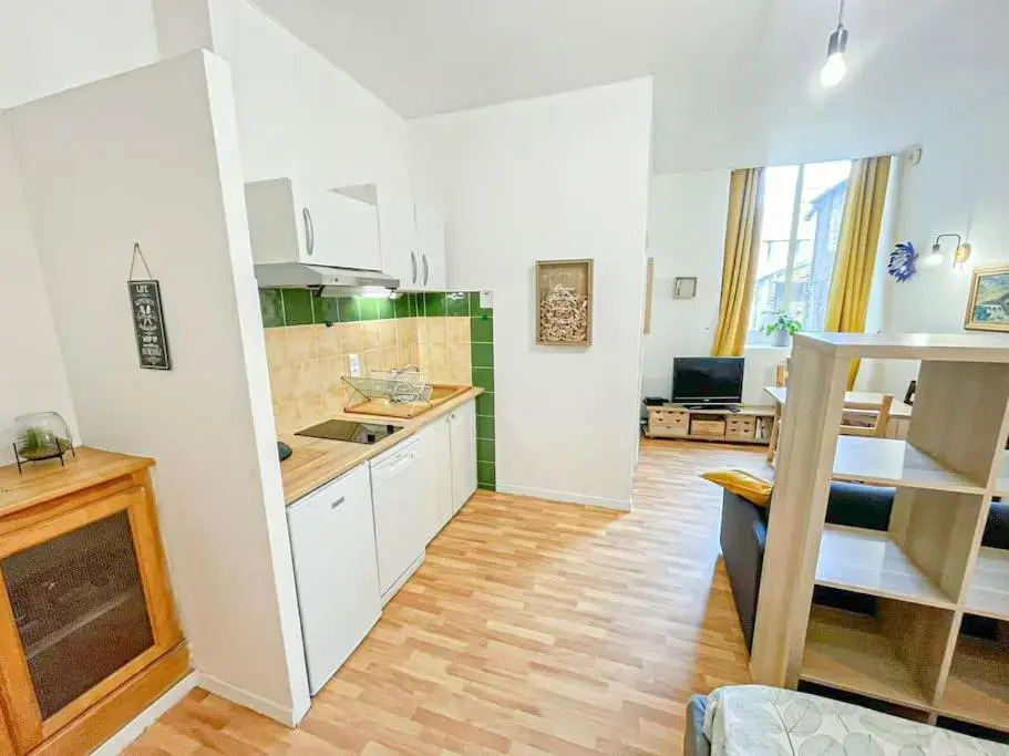 Cosy Apollo - T1- Hypercentre Quartier du Chateau