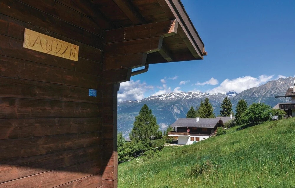 Chalet Audyn