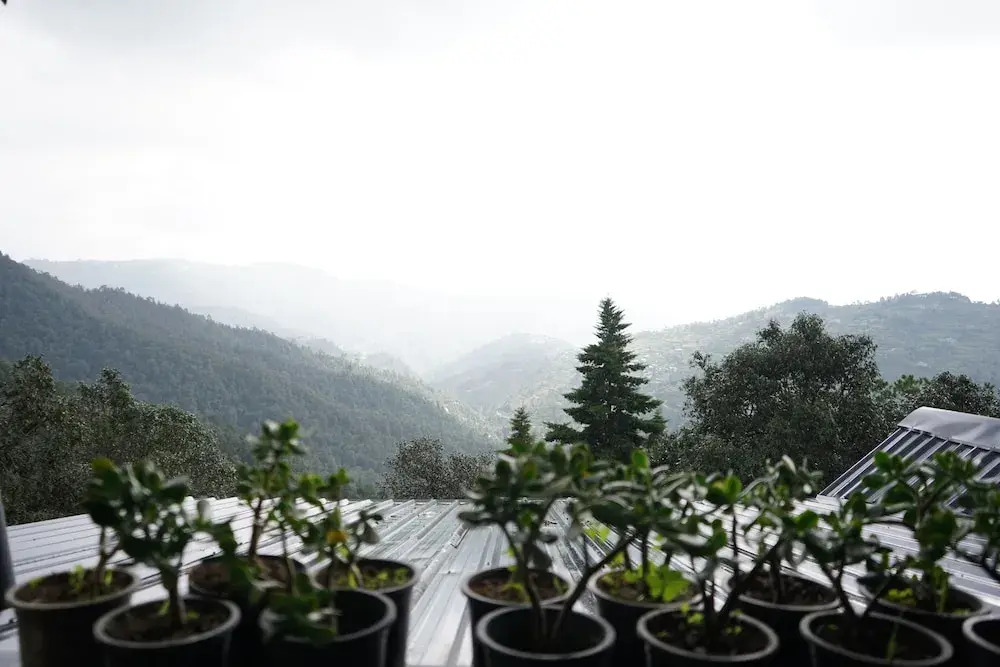 Muktkeshii Boutique Resort