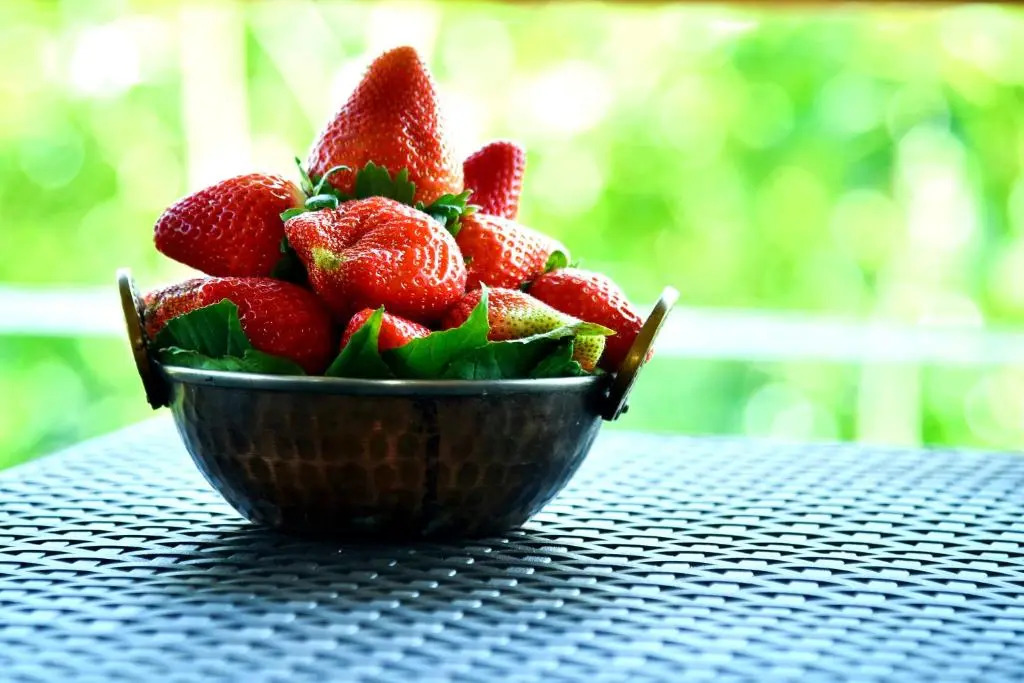 MERIDIAN VILLA - Besides Valley View with Swimming pool & Strawberry Farms