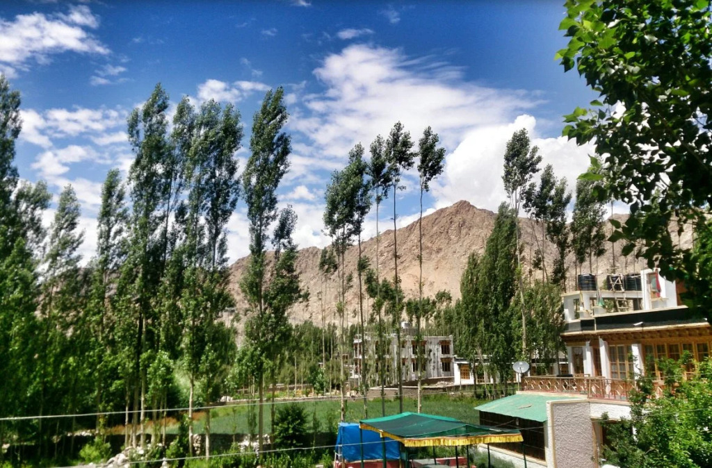 Hotel Chube