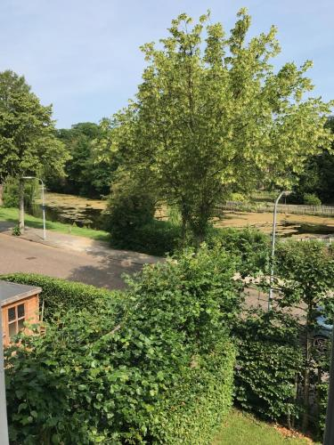 Hartje Haarlem B&B