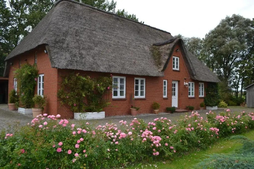 Rosenkate